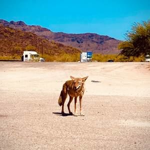 Meet your Posher, Jimmy